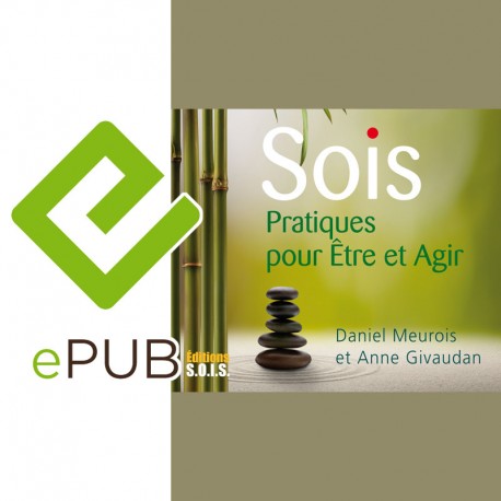 Sois : pratiques pour être et agir – epub