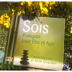 Sois : pratiques pour être...